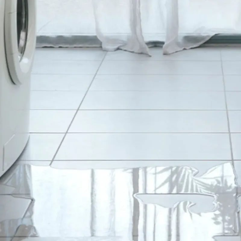 Appliance Leak Cleanup in Oak Harbor, WA