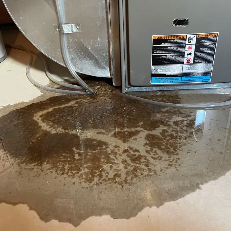 Pipe Burst and Leak Restoration in Oak Harbor, WA