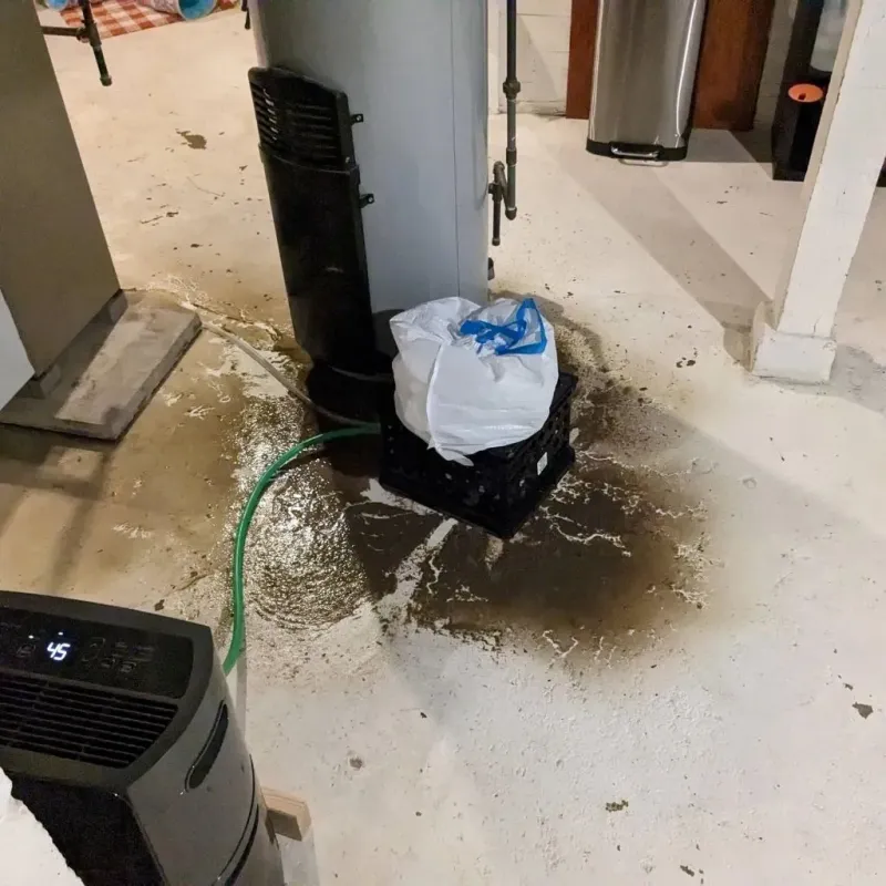 Sewage Backup Cleanup Service in Oak Harbor, WA